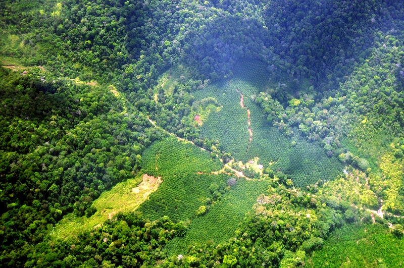 Costa Rica experiments with drones to monitor remote forests