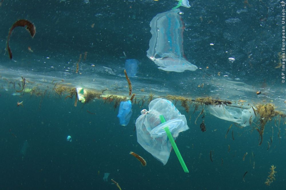 European Parliament completes ban on single-use plastics