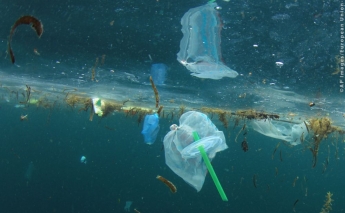 European Parliament completes ban on single-use plastics